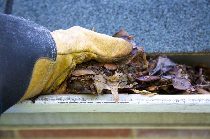 Gutter Cleaning in Longmont, CO