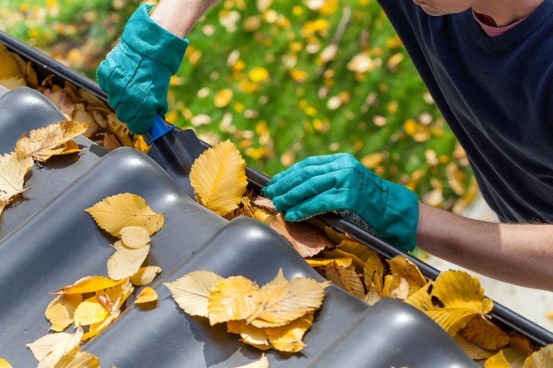 Gutter Leaves Removal in Longmont, CO