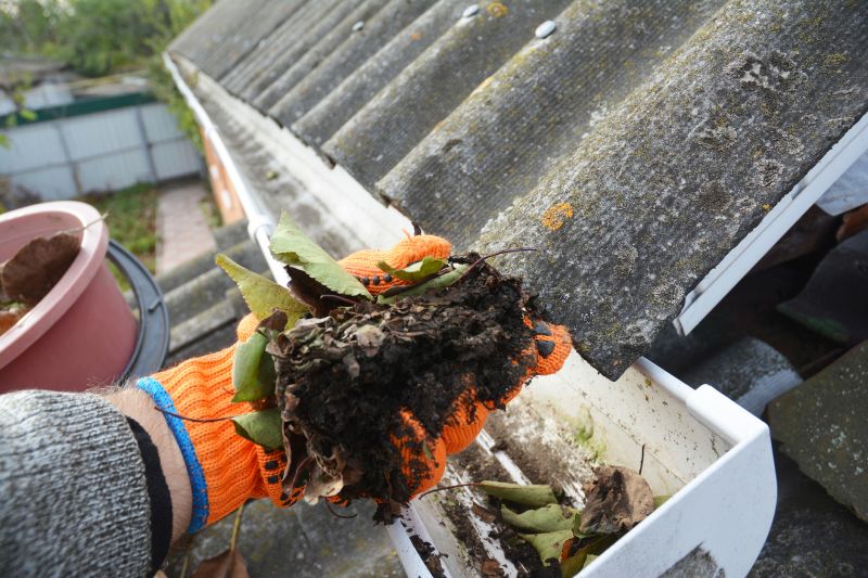 Gutter Pine Needle Removal in Arvada, CO