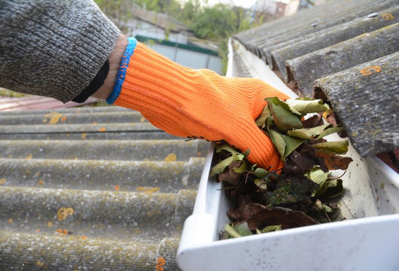 Gutter Pine Needle Removal in Long Island, NY