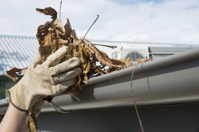 Gutter Pine Needle Removal in Longmont, CO